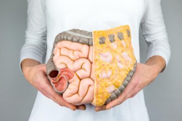 Función del intestino delgado