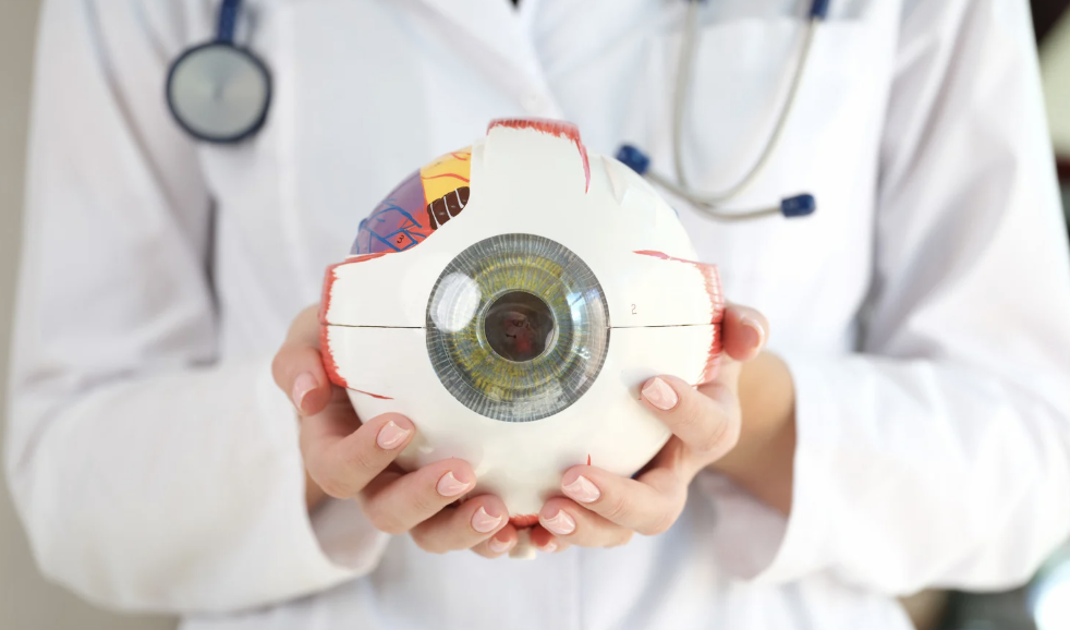 Lee más sobre el artículo Salud Ocular