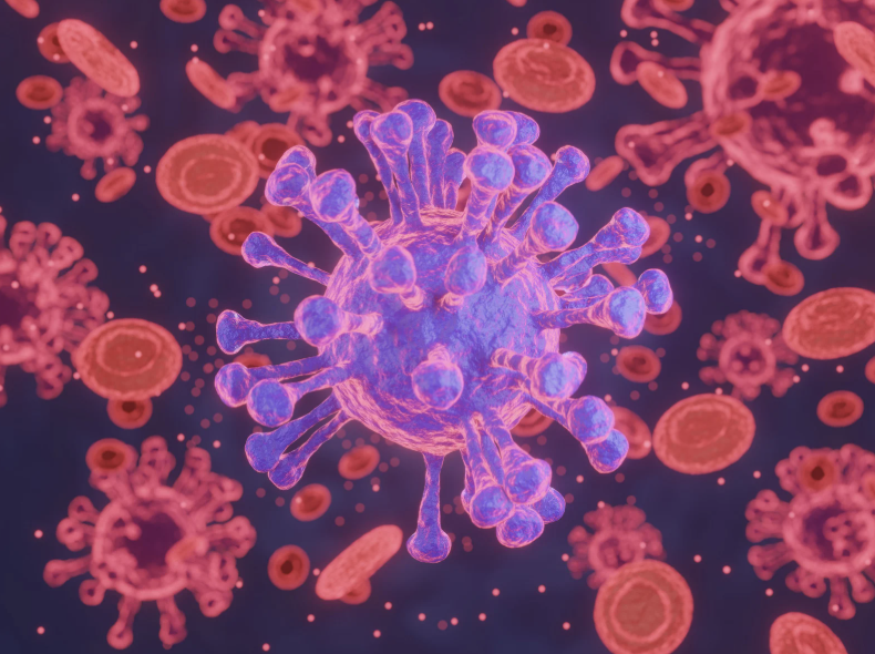 Lee más sobre el artículo ¿QUÉ SON LAS ZOONOSIS Y POR QUÉ SON IMPORTANTES?