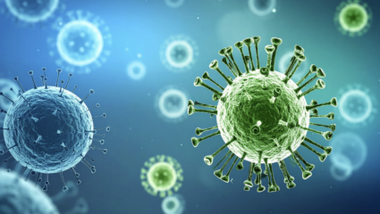 ¿Cómo Evitar una Pandemia?