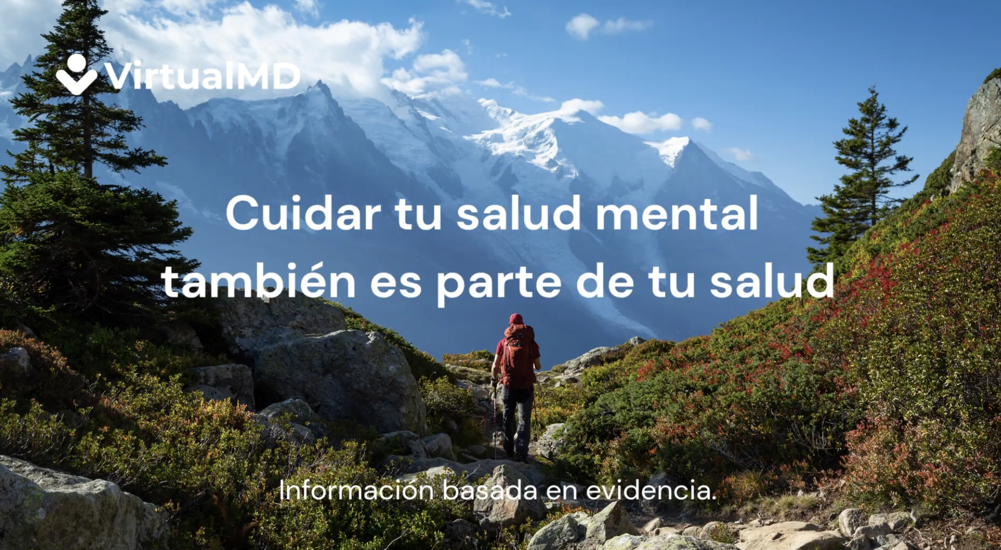 Lee más sobre el artículo Cuidar tu Salud Mental